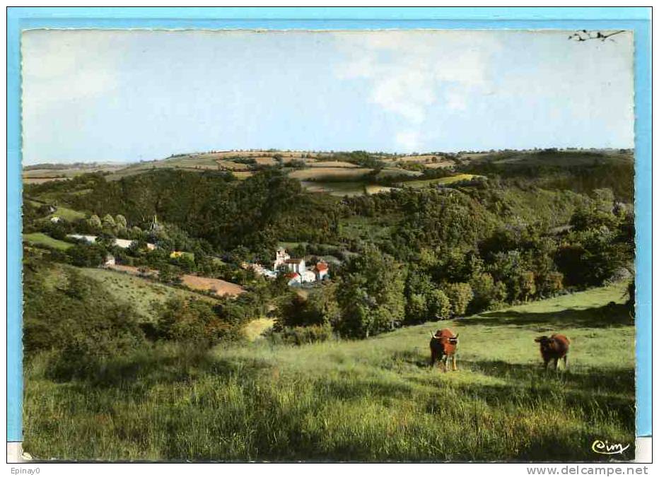 B - 12 - PONT DE SALARS - N° 10 église Du Poujol Et Ruines De Château Fort - Autres & Non Classés