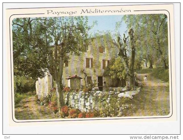 " Paysage Méditerranéen": Vieux Mas ( Ferme) En Provence ; Chien ; TB - Farms