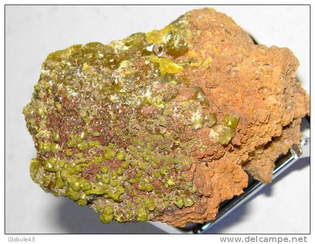 PYROMORPHITE SUR GANGUE 4,8 X 3,4 Cm  AVEYRON (mine D´Asprières) - Minéraux
