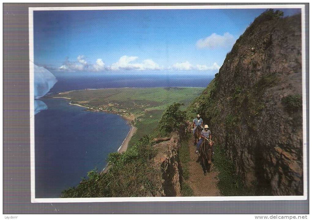 Molokai's Famous Mule Ride  - Hawaii - Molokai