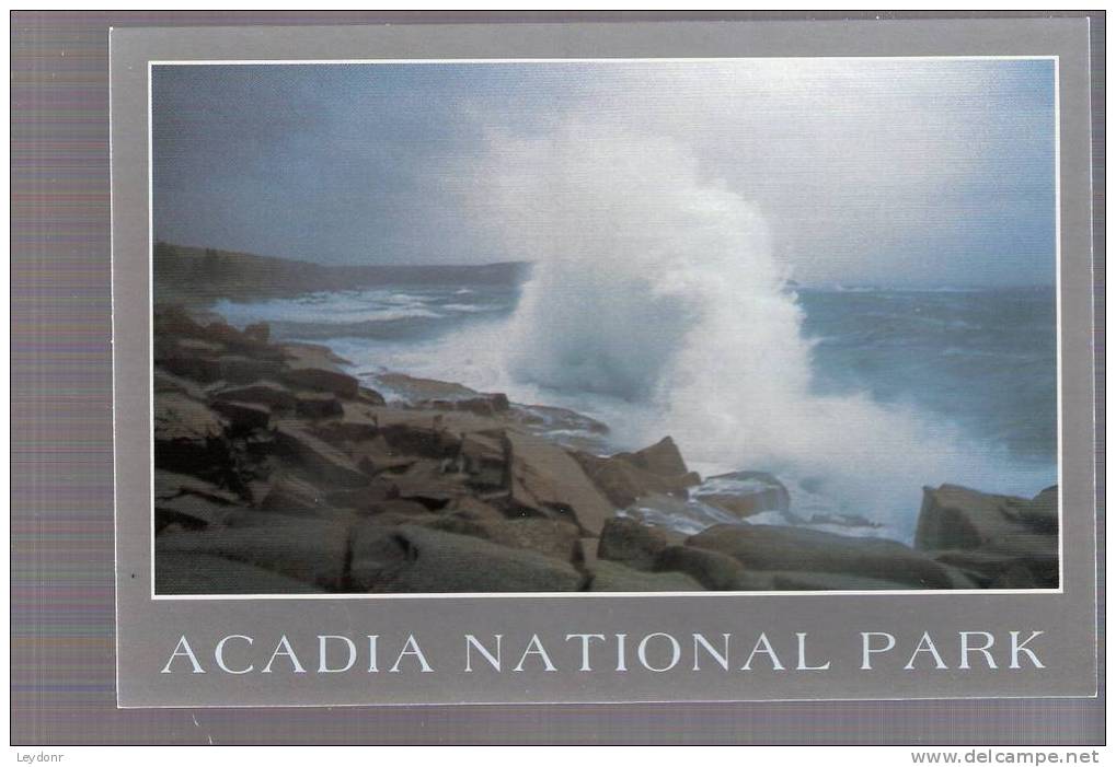 Pounding Surf Along The Ocean Drive - Acadia National Park, Maine - Otros & Sin Clasificación
