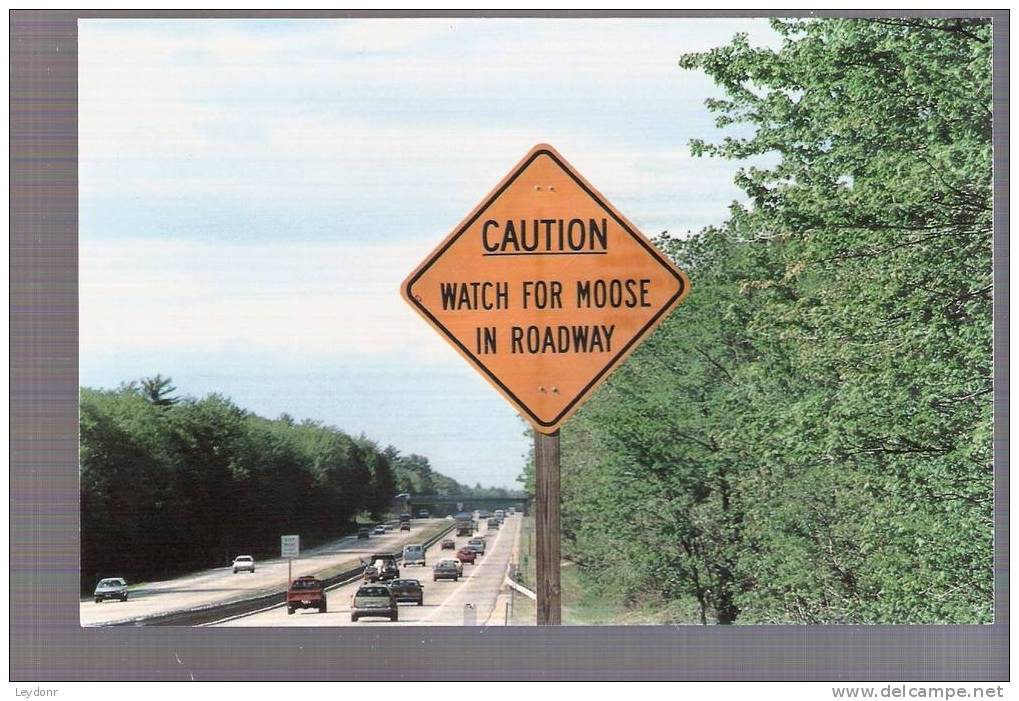Caution - Watch For Moose In Roadway, Maine - Other & Unclassified