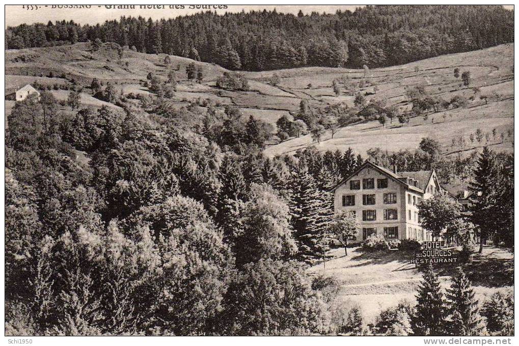 BS - 88 - BUSSANG - Grand Hôtel Des Sources - Bussang