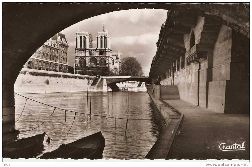 CpF0221 - PARIS - Promenade Sous Les Ponts - (75 - Paris) - Die Seine Und Ihre Ufer