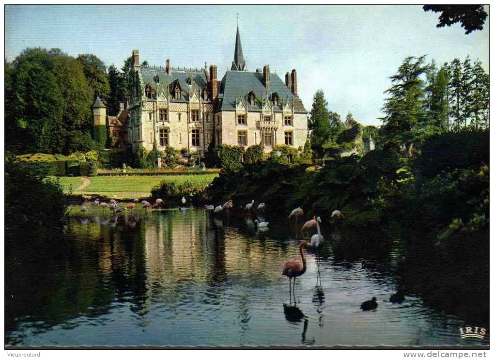 CPSM.  PARC ZOOLOGIQUE DE CLERES. LE CHATEAU ET LES FLAMANTS ROSES. DENTELLEE. - Clères