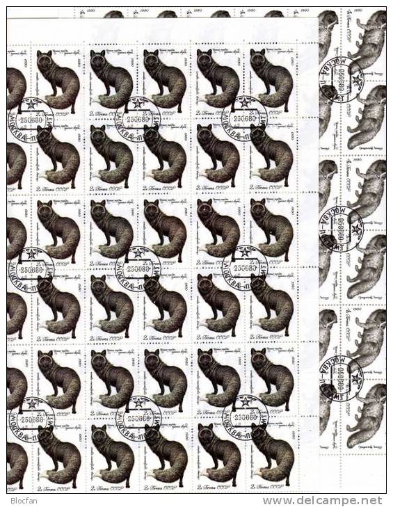 Naturschutz Pelztiere 1980 Sowjetunion 4968+69,4-Block+Bogen O 25€ Bloque Blocs Hoja WWF M/s Fauna Sheet Bf SU CCCP USSR - Game