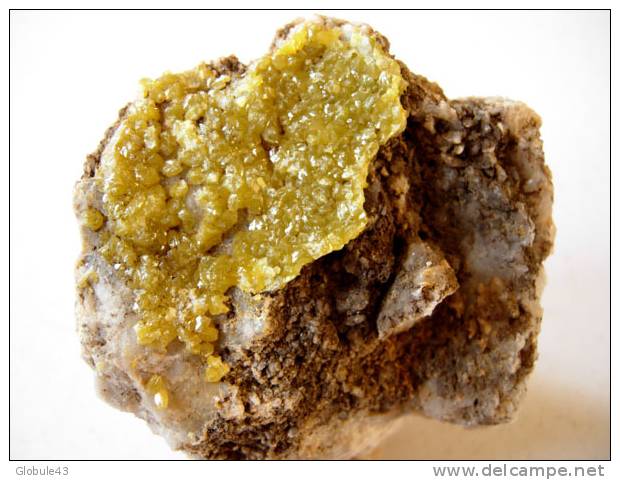 PYROMORPHITE SUR QUARTZ (3 X 5cm) échantillon 7 X 6 Cm  AVEYRON - Mineralien