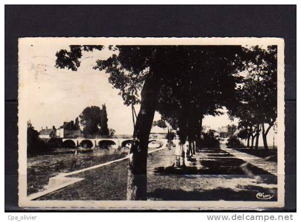 21 GENLIS Promenades, Pont, Ed CIM 11, CPSM 9x14, 1956 - Autres & Non Classés
