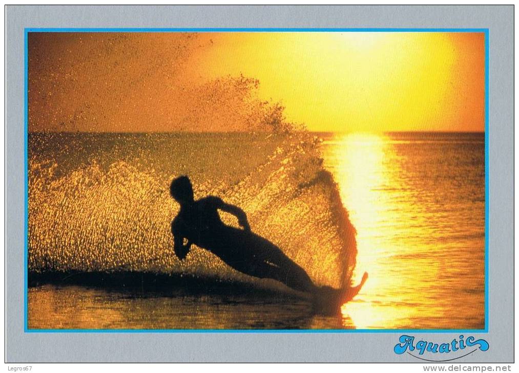 CARTE POSTALE SKI NAUTIQUE - Waterski