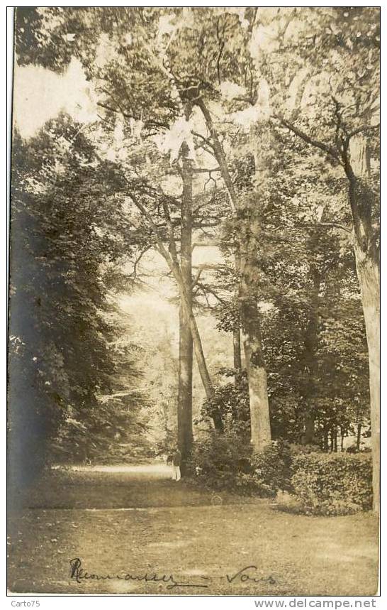 Carte Photo - Brunoy 91 - Forêt - To Identify