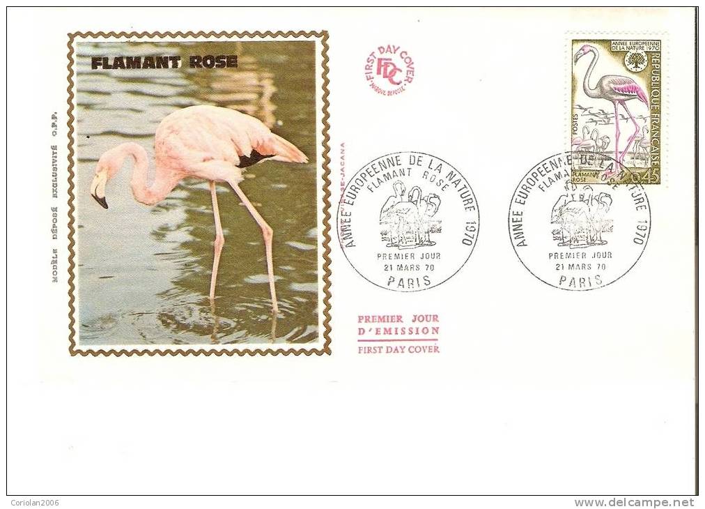 France Fdc / Le Flamant Rose - Flamants