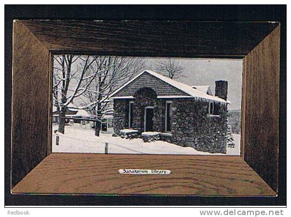 Early Postcard Sanitorium Library Adirondack Mountains New York USA  - Ref 290 - Adirondack