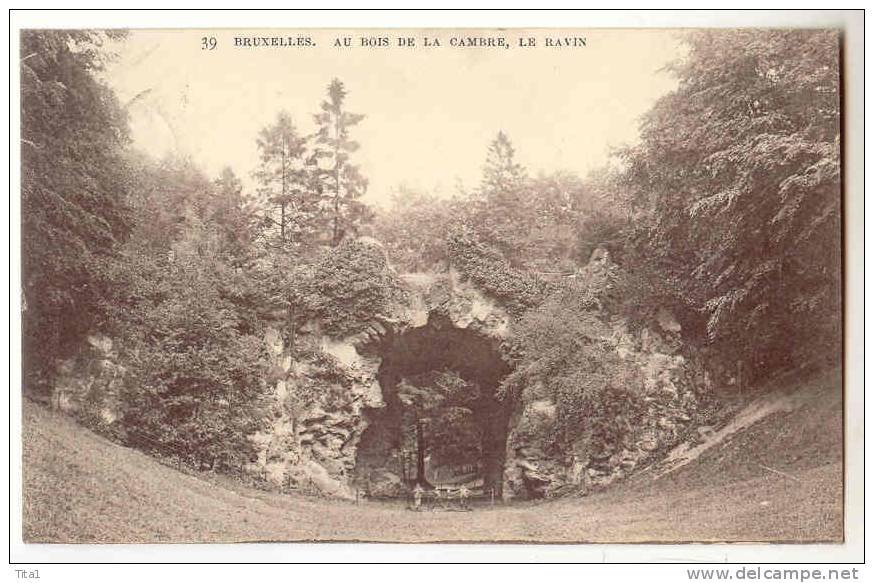 T664 - BRUXELLES - Au Bois De La Cambre - Le Ravin - Parks, Gärten