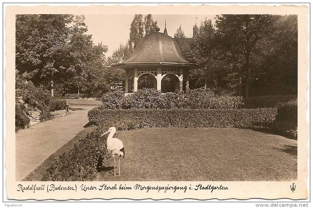 D - BW - Radolfzell (Bodensee) - Unser Storch Beim Morgenspaziergang I. Stadtgarten - Kunstverlag Franz Walter / FW - Radolfzell