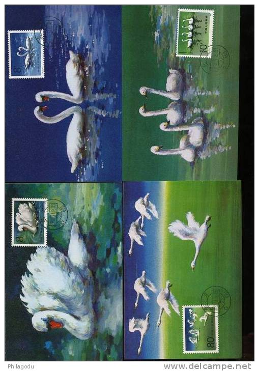 CARTES MAXIMUM     4 CYGNES   CHINA   1984      Oiseau  Bird - Cygnes