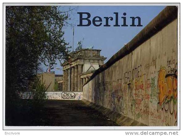 Cpm BERLIN Le Mur Graffiti Am Brandenburger Tor - Muro Di Berlino