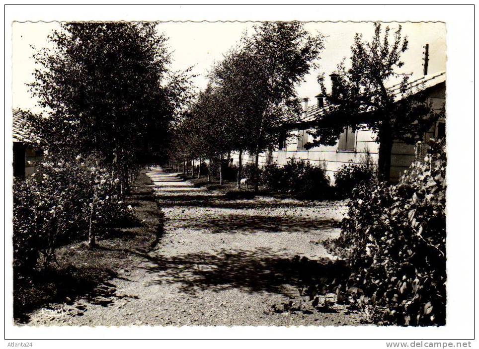 TREIGNAC - COLONIE DE CHINGEAT  N°101   (D19) - Treignac