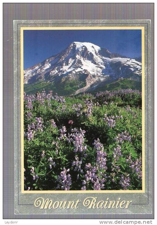 Mount Rainier - Washington - Andere & Zonder Classificatie