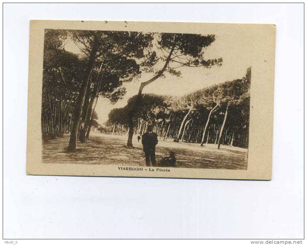 Viareggio 1921 - Viareggio