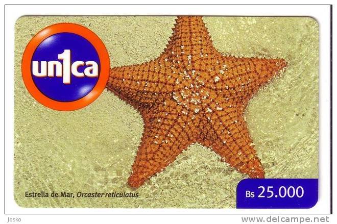 STARFISH ( Venezuela ) étoile De Mer Estrella De Mar Star Fish Underwatter Undersea World Marine Sea Life Poisson Pez - Venezuela