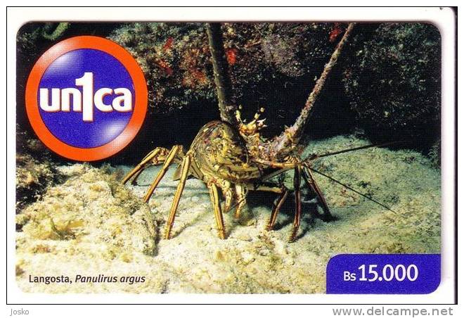 CRAB ( Venezuela) Crabe Krabbe Cangrejo Granchio Underwatter Undersea World Marine Sea Life Fish Poisson Fisch Pez Pesce - Venezuela