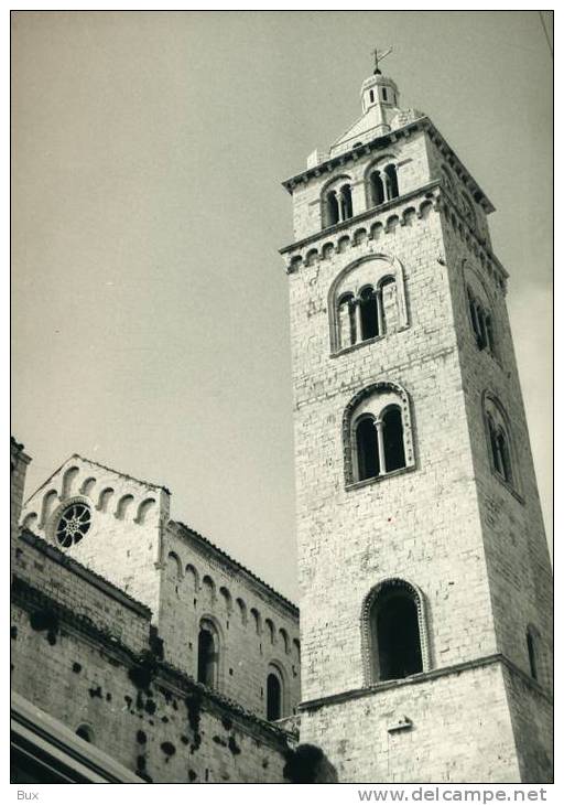 TRANI CATTEDRALE   PUGLIA BARI FOTO FOTOGRAFIA - Places