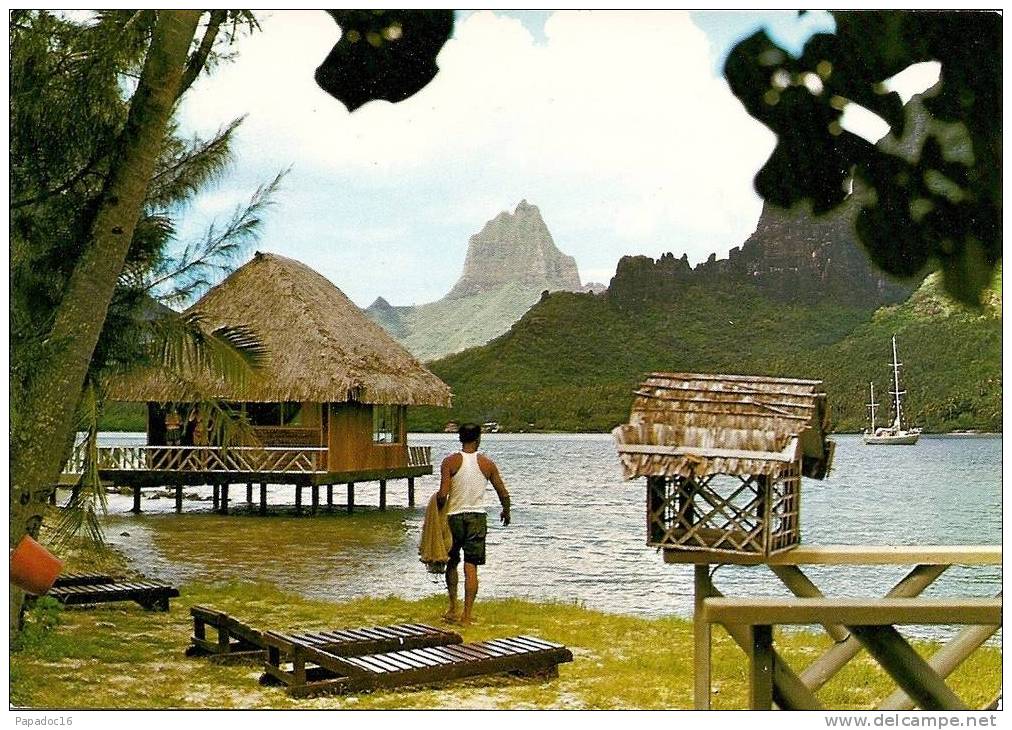 TOM - Paysage De Moorea - Scenery Of Moorea - CPM  Photo Joe Kwan - Frans-Polynesië