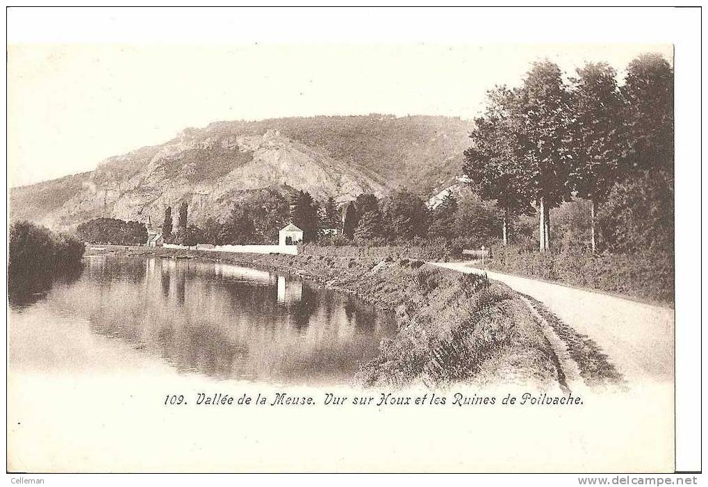 Vallee De La Meuse /vue Sur Houx Et Les Ruines De Poilvache (596) - Yvoir