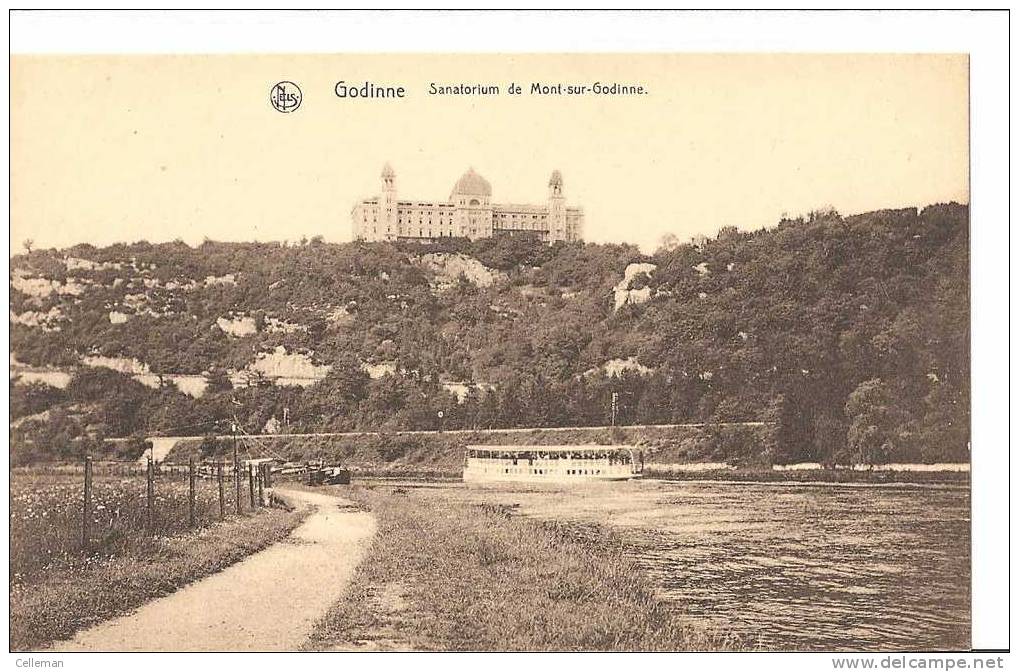Godinne Sanatorium De Mont Sur Godinne (c056) - Yvoir