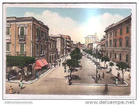 14817)cartolina Illustratoria  Brindisi - Piazza Vittoria - Brindisi