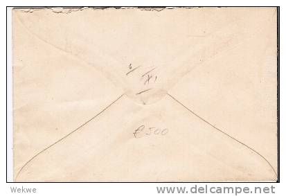 Rl134/ -RUSSLAND - Brief Der Rot Kreuz-Gesellschaft 1878, Portofrei - Briefe U. Dokumente
