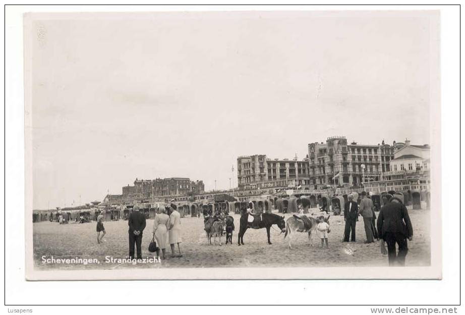 OLD FOREIGN 1558 - THE NETHERLANDS - HOLLAND - SCHEVENINGEN, STRANDGEZICHT Ezel - Scheveningen