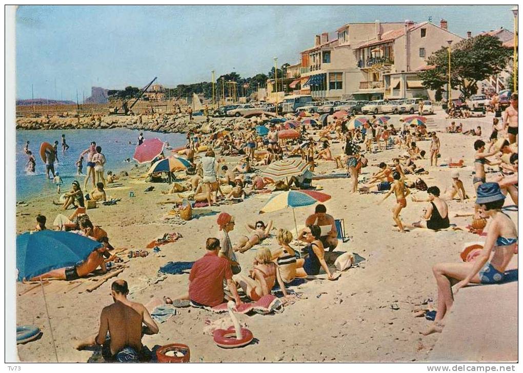 CpF0363 - SAINT CYR Les LECQUES - La Plage - (83 - Var) - Saint-Cyr-sur-Mer