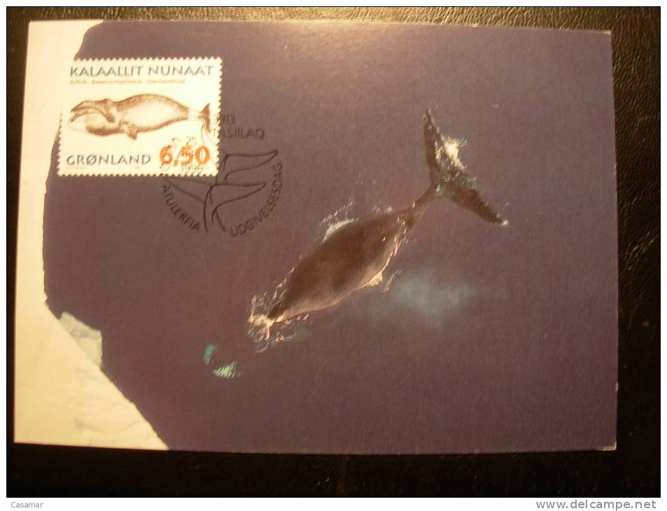 GRONLAND Kalaallit Nunnat Balaena Mysticetus Maxi Card 1996 - Baleines
