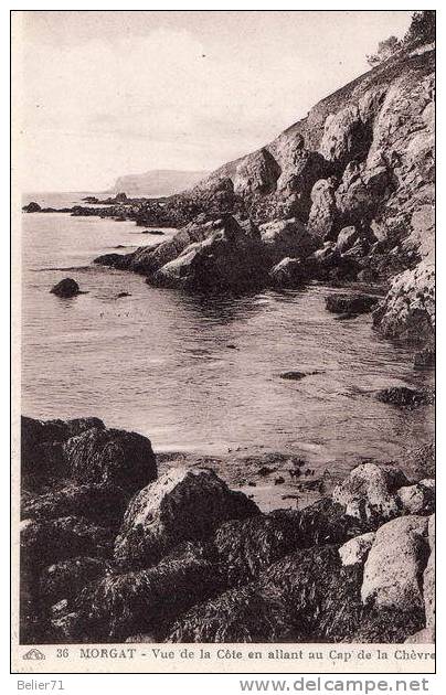 29 / Crozon-Morgat. Vue De La Côte En Allant Au Cap De La Chèvre - Crozon