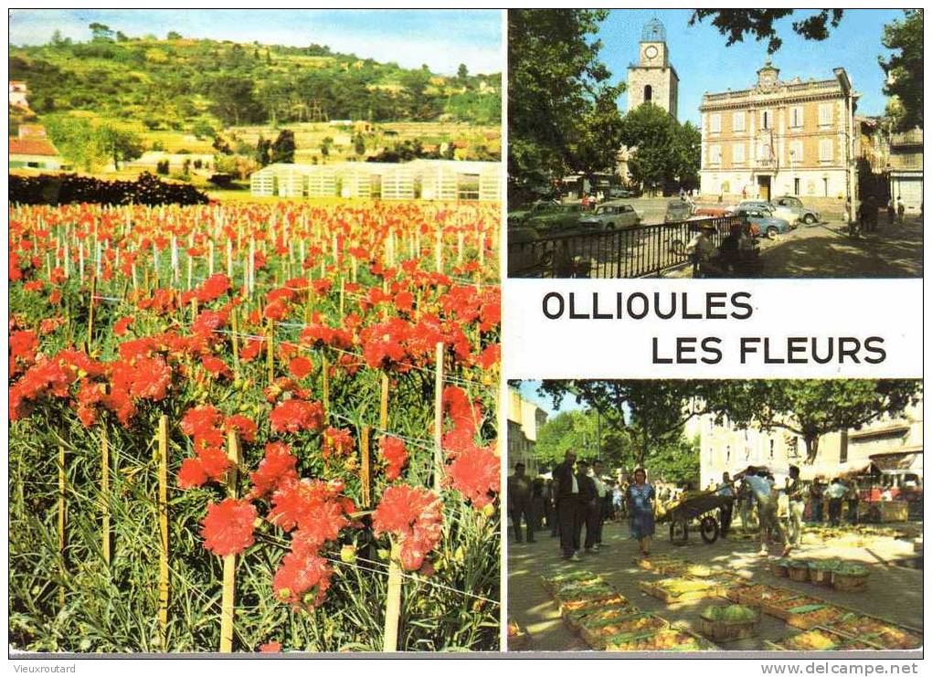 CPSM.  OLLIOULES. LA CITE DES FLEURS. DATEE 1974 - Ollioules