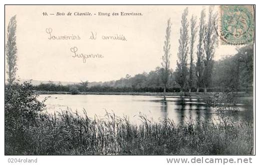 Chaville - Etang Des Ecrevisses - Chaville