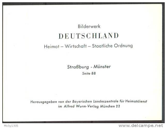 Bilderwerk Deutschland - Straßburg / Münster - Seite 88 (I274) - Sonstige & Ohne Zuordnung
