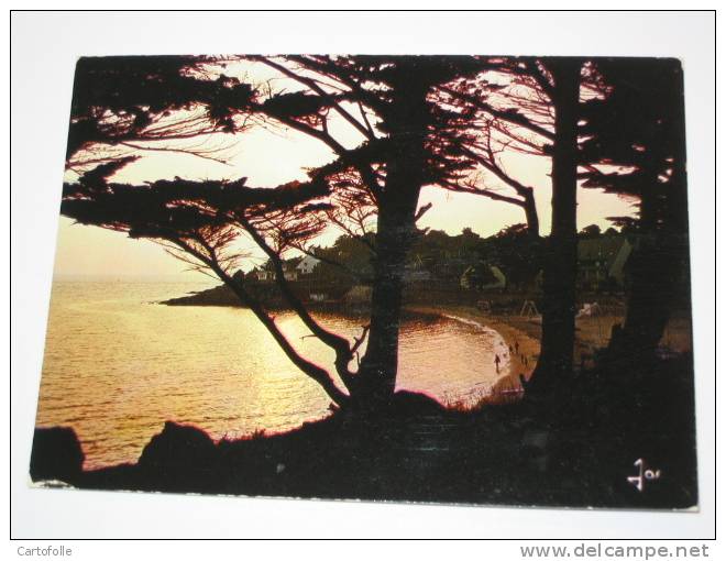 Lot 377 -1- Carte Postale Sur Port Navalo Couché De Soleil Sur La Plage Carte Edition IRIS MX3984 Jos - Arzon