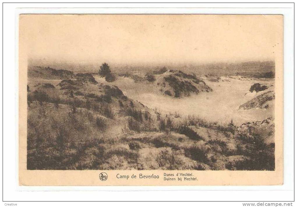 Camp De Beverloo. Duinen Bij Hechtel - Dunes D'Hechtel - Leopoldsburg (Camp De Beverloo)