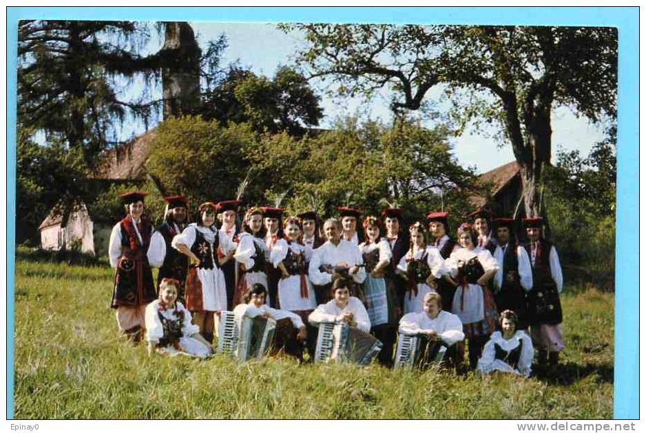 B - 68 - WITTELSHEIM - Groupe Folklorique Aigle Blanc - Accordéon - Wittenheim