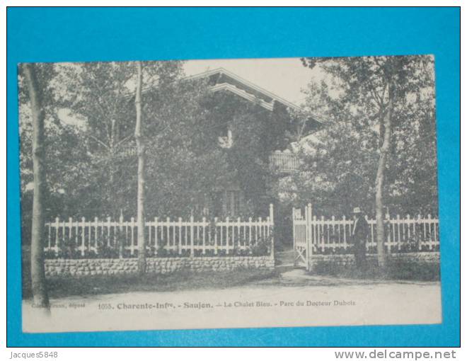17) Saujon - Braun N° 1055 - Le Chalet Bleu - Parc Du Docteur Dubois  - Année  - EDIT - Saujon