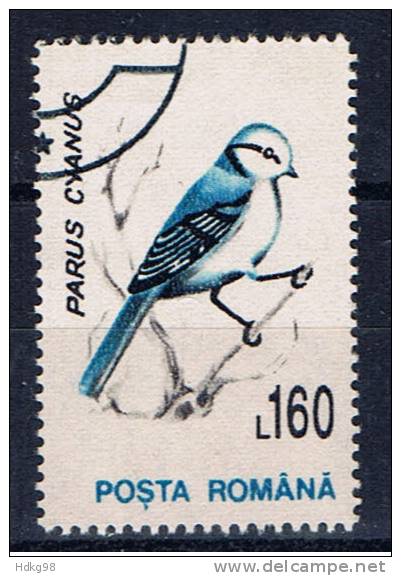 RO+ Rumänien 1993 Mi 4883 Vogel - Gebruikt