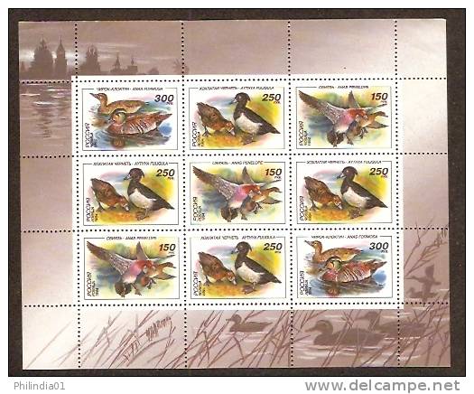 Russia 1994 Duck Bird Sheetlet  MNH # 9338 - Entenvögel