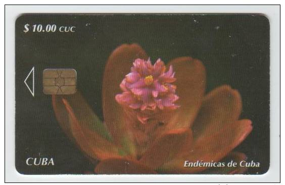 Especies Endemicas De Cuba (10.00 Cuc) - Cuba