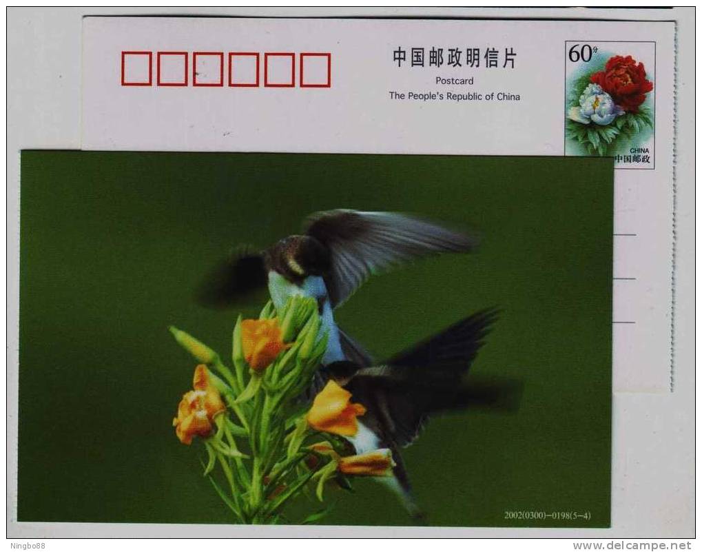 Sparrow Bird,finch,China 2002 Hebei Helping Disabled Person Charity Advertising Pre-stamped Card - Mussen