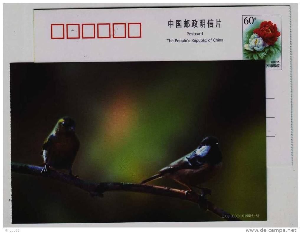 Sparrow Bird,finch,China 2002 Hebei Helping Disabled Person Charity Advertising Pre-stamped Card - Cernícalo