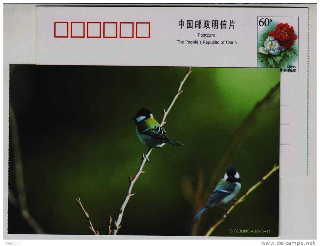 Sparrow Bird,finch,China 2002 Hebei Helping Disabled Person Charity Advertising Pre-stamped Card - Cernícalo