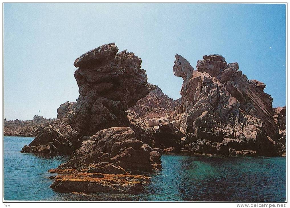 ITALIA  CARTOLINA SARDEGNA ISOLA RAZZOLI CALA DEL ROSARIO.  NUOVA - Olbia