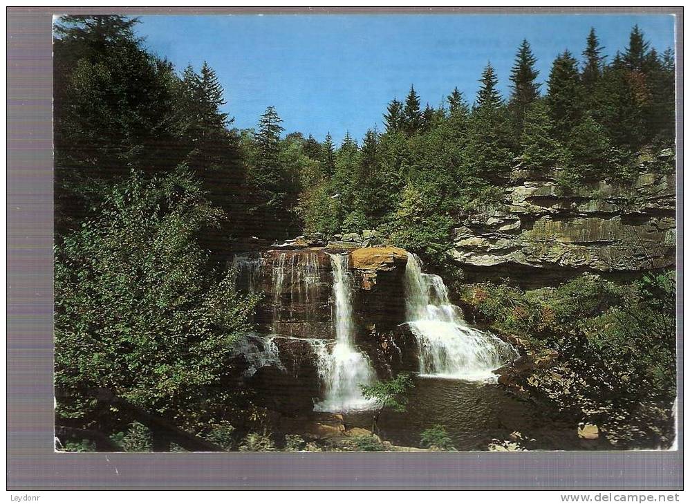 Blackwater Fall State Park, West Virginia - Other & Unclassified